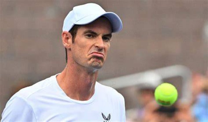 Andy Murray antics