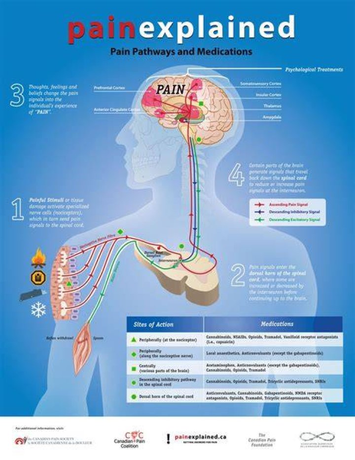 The Anxious Mind and Body: Arm Pain Explained