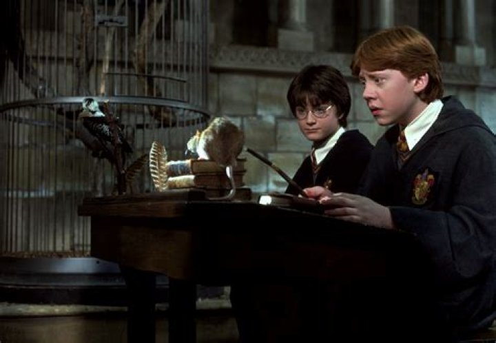 Transfiguration in Harry Potter